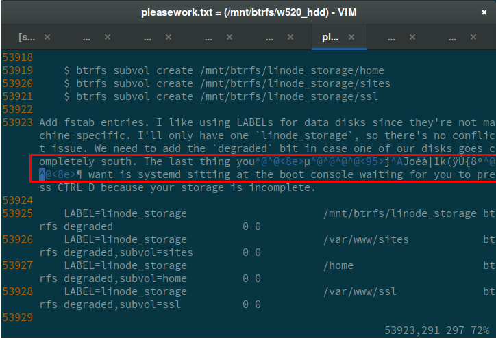 "Screenshot of Corrupted Data"